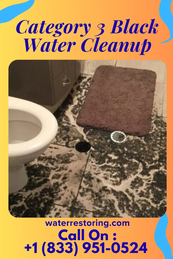 Category 3 Black Water Cleanup in Clay, TX